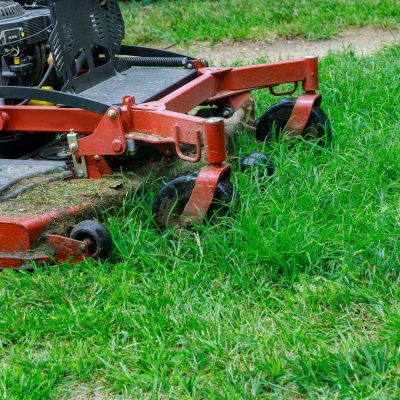 Close up of cutting grass with using a petrol lawn mower
