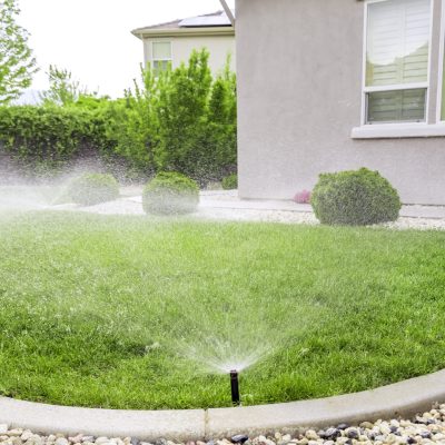 sprinklers-watering-lawn-2022-02-17-04-40-25-utc